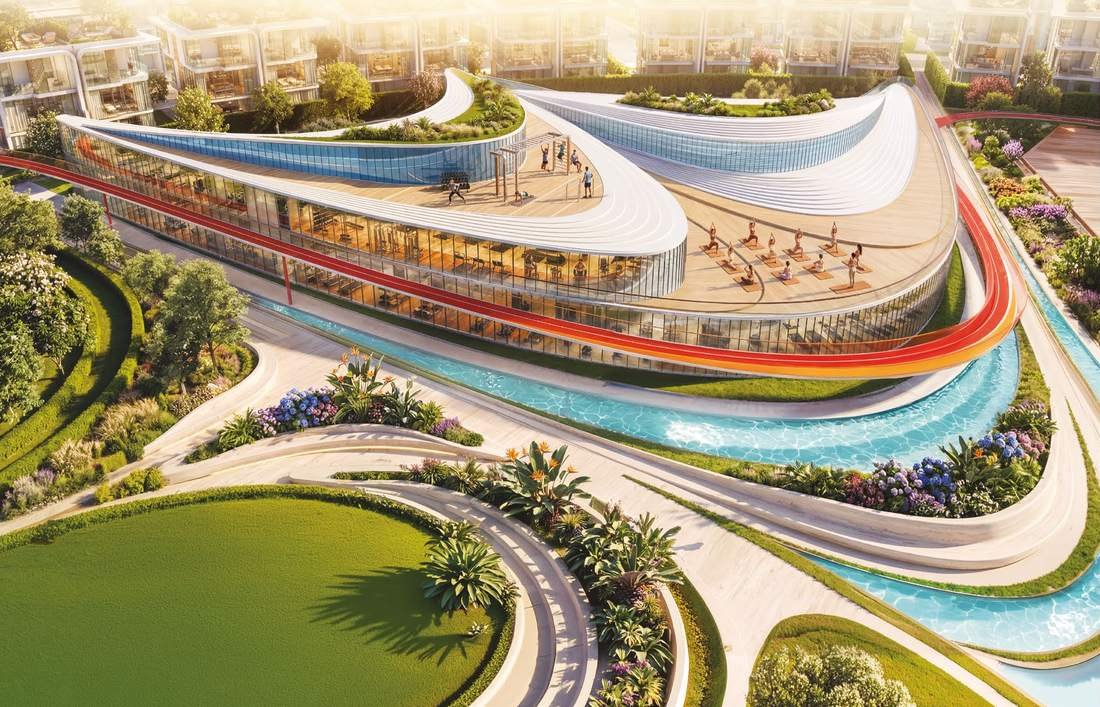 The Wellness Hub
